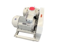 Roots Rotary Lobe Blower Tekanan Tinggi AC Listrik Rakitan Lengkap dengan Filter Udara, Peredam, dan Katup Pelepas Tekanan