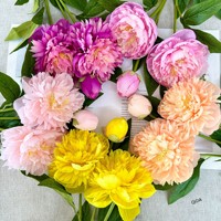 QIDA BK301 Artificielle Pivoines Fleur Unique Décoration De Table Noël Graduation Halloween Nouvel An Autres Occasions Gratuit