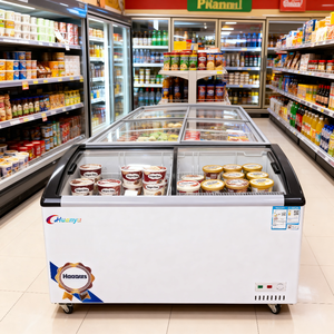 Mini coffre congélateur à deux portes, à économie d'énergie, avec refroidissement par air réglable, pour la présentation de sucettes glacées et de glaces, pour les magasins de proximité - Product Image 5