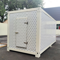 20FT 40FT Contenedor Carnicería Almacenamiento en Frío Móvil Montado Equipo de Refrigeración Congelador Mono Bloque Refrigeración