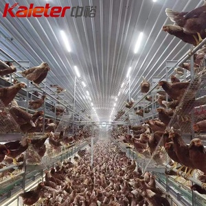 Châu Âu Và Úc Phúc Lợi Động Vật Mở Gà Lồng Aviary Hệ Thống Miễn Phí Phạm Vi Gà Lớp Gia Cầm Lồng Hộp Trứng Bộ Sưu Tập - Product Image 3