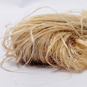 ใยกล้วยแห้งเกรดพรีเมียม บรรจุเป็นม้วน ความชื้นมาตรฐาน สำหรับการผลิตเส้นด้าย อุตสาหกรรมผ้าไม่ทอ และอุตสาหกรรมชีววัสดุ - Product Image 2