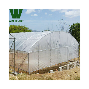 Serre à simple travée à contrôle climatique pour tomates et concombres - Product Image 1