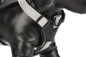 Prémio Y-<span class=keywords><strong>Harness</strong></span> Nylon Ajustável Peito e Estômago Fit com Neoprene Forro Segurança Bloqueio Clique Fixadores Arnês para Cães - Product Image 3