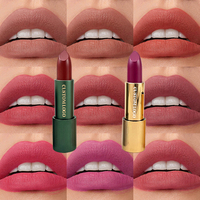 Maquillaje al por Mayor de Alta Calidad OEM, Lápices Labiales Profesionales a Prueba de Agua de Larga Duración, Logotipo Personalizado, Mate, 14 Colores