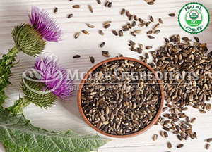 Extracto de Cardo Mariano, Suplemento Herbal Natural para el Apoyo del Hígado, Desintoxicación, Antioxidante, Bienestar y Nutrición Diaria, a Base de Plantas - Product Image 3