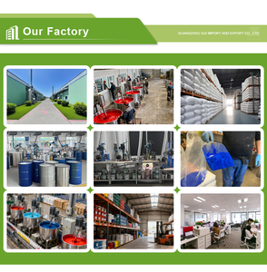 आसान देखभाल पानी आधारित चांदी पाउडर पेंट, पेशेवर कला परियोजनाओं के लिए टूटे हुए सफेद - Product Image 6