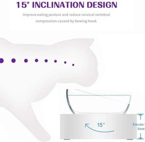ชามอาหารแมวยกสูง 15 องศา พร้อมแผ่นรองซิลิโคน ชามพลาสติกใสสำหรับแมวแบบยกสองชั้นพร้อมขาตั้ง - Product Image 3