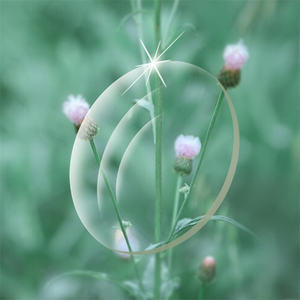 Len Spectacles Individual RX Freeform Hard Resin Digital Progressive CAMBER Steady Design Optical Lens - Product Image 6