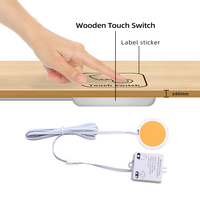 Interruptor Táctil LED de Alta Tensión CA 85V-265V para Tablero de Madera, 3A, Clasificación IP22, 60W/120W, Interruptor de Superficie Oculto para Muebles Inteligentes