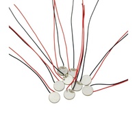 Pelat Keramik Piezo 10x1mm Elemen Cakram Piezoelektrik untuk Peralatan Pembersihan dan Penginderaan Ultrasonik