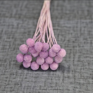 All'ingrosso all'ingrosso decorativo naturale essiccato Craspedia Globosa Billy palla piante conserve fiori - Product Image 4