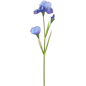 <span class=keywords><strong>Iris</strong></span> Artificial Realista al por Mayor, Tallo de <span class=keywords><strong>Iris</strong></span> Púrpura Sintético a Granel para Suministros de Floristería, Decoración Comercial para Bodas y Eventos - Product Image 1