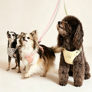 Harnais gilet pour chien anti-traction en maille respirante et douce, avec clip frontal en métal, réglable et rembourré pour un confort de marche facile - Product Image 5