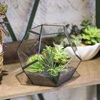 Maison jardin décor de table Miniature petit Pot de fleur pentagone forme Football or noir verre géométrique Terrarium jardinière