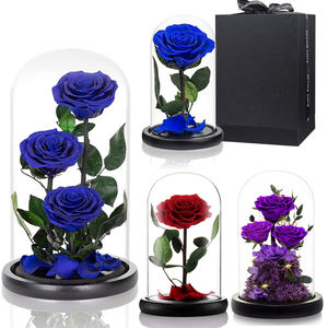 Dôme de <span class=keywords><strong>rose</strong></span> lumineux à LED <span class=keywords><strong>Rose</strong></span> <span class=keywords><strong>La</strong></span> Belle et <span class=keywords><strong>la</strong></span> Bête <span class=keywords><strong>prix</strong></span> raisonnable <span class=keywords><strong>Rose</strong></span> <span class=keywords><strong>éternelle</strong></span> préservée enchantée dans un dôme de verre - Product Image 2