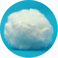 Raw Polyester Fiber Staple Material 1.2d 38mm