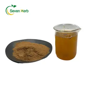 Factory Supply Ginkgo Biloba Leaf Extract Powder Flavones 24% Lactones 6% Ginkgo Biloba Extract Flavones 24%