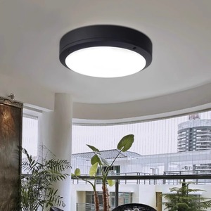 Lámpara de Techo para Exteriores, Impermeable, LED con Regulación de Intensidad, Sensor de Movimiento, Protección Contra Insectos, para Balcón, Pasillo, Puerta - Product Image 2