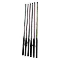 Lampe LED pour mât de drapeau, lumière d'antenne spirale RGB à effet de poursuite avec télécommande via application pour VTT, UTV, camion