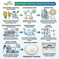 Poudre d'enzyme amylase maltogénique de qualité alimentaire 1 000 000 U/g, agent anti-âge pour le pain, prolongateur de durée de conservation