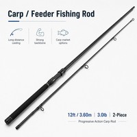 Canne à pêche à la carpe Zeroring Carbon 12ft 3.0lb 2 brins action progressive Vente en gros OEM ODM Logo personnalisé Direct usine