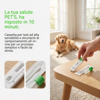 Échographe portable vétérinaire avec caméra endoscopique et moniteur d'anesthésie – Équipement complet