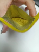 Hot Sale OEM Factory Price Good Quality Halal Chicken Seasoning Powder Bulk 10g,17g Available