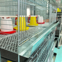 Couveuse en fil d'acier galvanisé durable de type H Cage multifonctionnelle pour poussins Nouvelle cage de batterie de poulet de ferme pour volaille Kenya