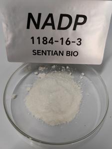 NAD Supplement Beta-Nicotinamide Adenine Dinucleotide NAD+ Lyophilized Powder Pure Beta-Nicotinamide Adenine Dinucleotide - Product Image 6