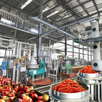 Ligne de production automatique de remplissage d'huile de palme, machine de remplissage d'huile d'olive, d'huile de sésame, de presse à froid et à chaud, machine de remplissage d'huile de noix de coco