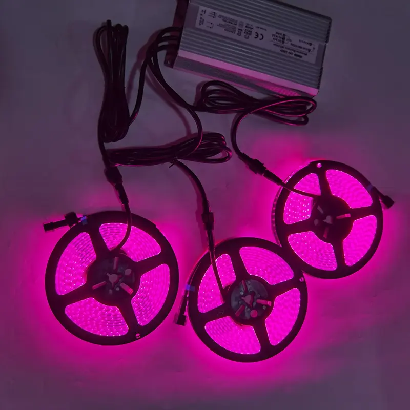 Led Lights Strip Full Spectrum Voor Indoor Grow Blauwe En Roze Kleuren