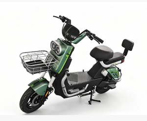 <span class=keywords><strong>Vélo</strong></span> électrique avec moteur 1000W, pneus renforcés anti-explosion, sécurité nocturne, batterie au plomb-acide - Product Image 1