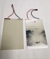 Película Inteligente para Ventanas y Puertas PDLC, Negra, Enrollable, Convertible Eléctricamente, Tamaño Personalizado
