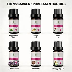 <span class=keywords><strong>น้ำมัน</strong></span>อะโว<span class=keywords><strong>คา</strong></span><span class=keywords><strong>โด</strong></span>บริสุทธิ์ 100% สกัดเย็น สำหรับบำรุงผิว บำรุงเส้นผม และนวดตัว ขายส่ง - Product Image 6