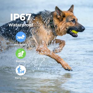 <span class=keywords><strong>Collar</strong></span> antiladridos para perros recargable de nueva actualización 2025 con luz intermitente, vibración de pitido para perros grandes, medianos y pequeños - Product Image 3