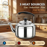 Bouilloire moderne en acier inoxydable 410, 3/10 litres, base magnétique, compatible avec les plaques à induction, écologique, légère