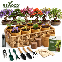 Vente en gros de 40 kits de culture de bonsaï avec outils, pots, graines, panier, étiquette privée OEM