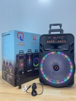Altavoz Karaoke Inalámbrico Portátil para Exteriores de 12 Pulgadas y 20 W, 1 Micrófono, Luces RGB, Bajos, Bluetooth, USB, Radio FM, Carro para Fiestas, Mango Telescópico
