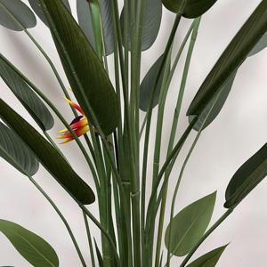 <span class=keywords><strong>Plante</strong></span> <span class=keywords><strong>artificielle</strong></span> de style nordique <span class=keywords><strong>Strelitzia</strong></span> Arbre artificiel Décoration de jardin <span class=keywords><strong>Plante</strong></span> - Product Image 5