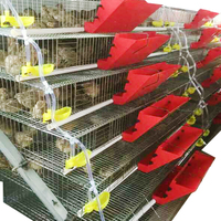 Cage pour caille les oiseaux chinois, 9 grilles, zone d'élevage d'œufs, cage d'élevage commerciale, pour cailles
