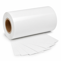 Film protecteur en silicone PET blanc à faible adhérence 1-12g, film de support pour découpe 25-188μm, simple face, sans résidu