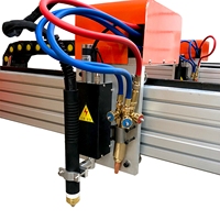 Coupeur de plasma de portique de découpeuse de plasma de CNC de lumière portative pour la coupe de métal