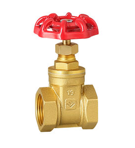 Katup Gerbang Air Manual LISHUI DN15 BSP Thread Laris Manis dengan Roda Putar Merah, Badan Kuningan Tempa - Product Image 1