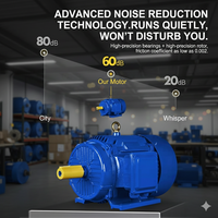 Moteur asynchrone triphasé à haut rendement, vente en gros d'usine, 380V, boîtier en fonte/aluminium, moteur à fil de cuivre intégral