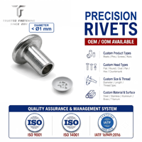 Tianfang Custom Large-flange Semi Tubular Mini Rivet Suitable for Leathercraft and Custom Fasteners Rivets for Leather Bags