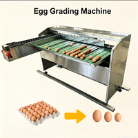Machine de triage d'œufs pour usage agricole, équipement de tri multi-gamme pour la classification des œufs de poulet crus par taille