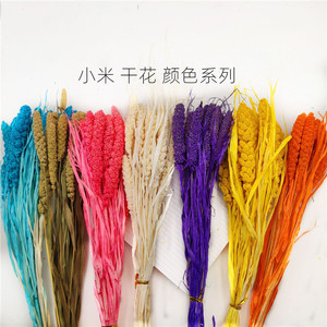 Airgris-appareil de teinture en l'air naturel de style pastoral bohémien, avec suspendre, fleurs séchées, pour décor, E07153 - Product Image 1