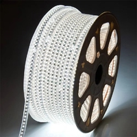 Bande lumineuse LED 2835 110v 220v 100m/rouleau Étanche