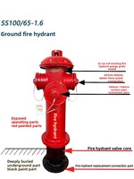 Borne d'incendie extérieure hors sol SS100/65-16